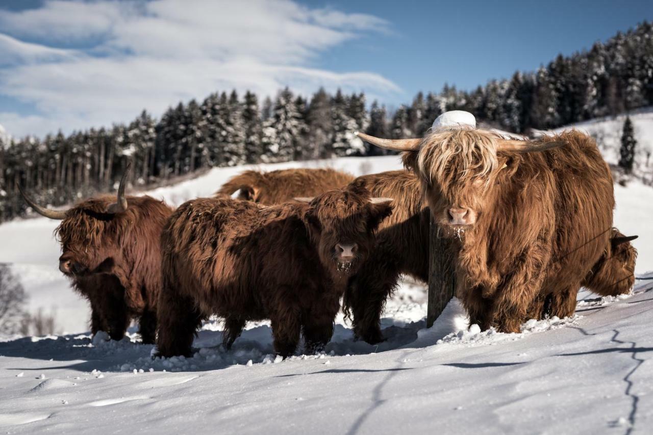Naturapart Bruneck Buitenkant foto